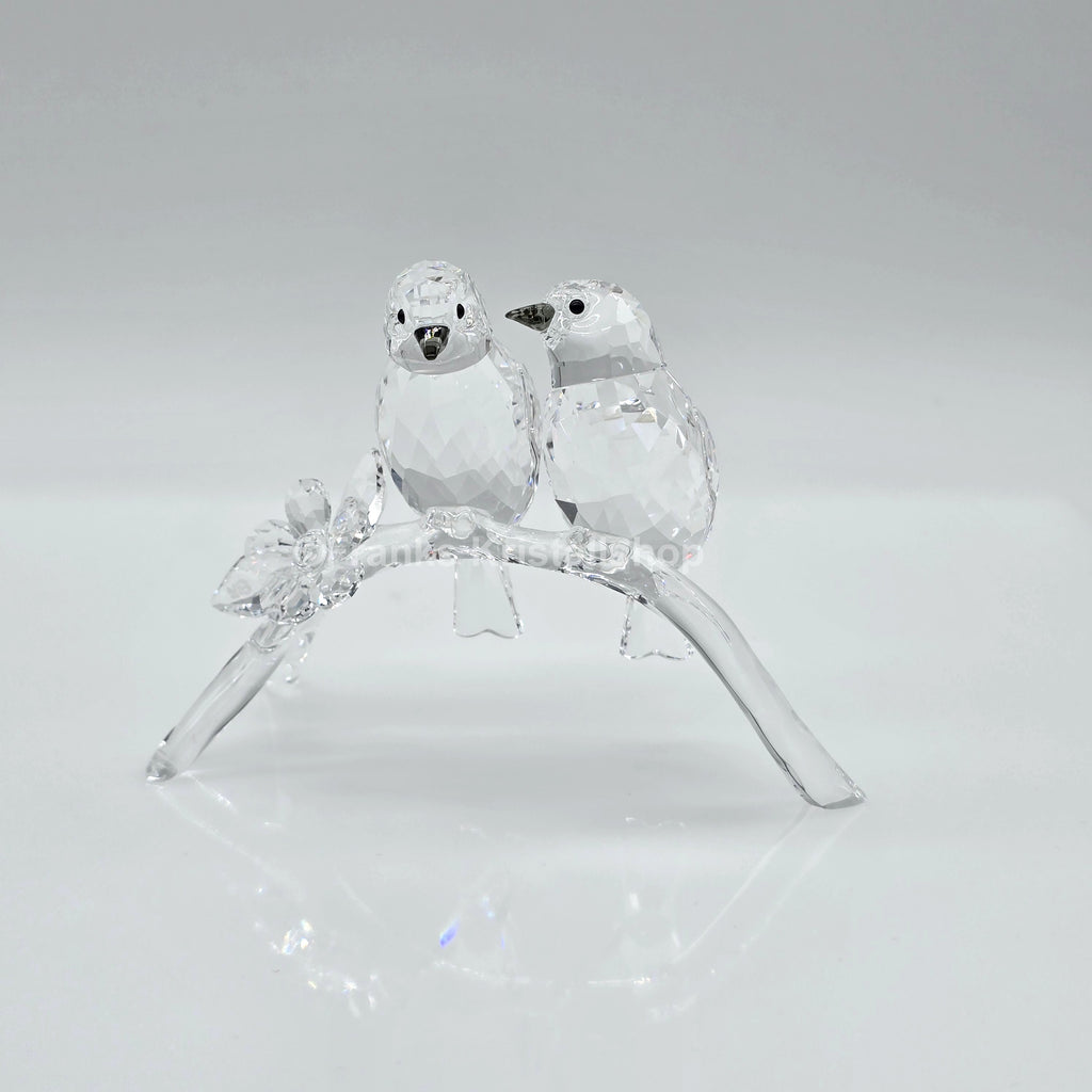 SWAROVSKI Brillenvögel 5249843 oU