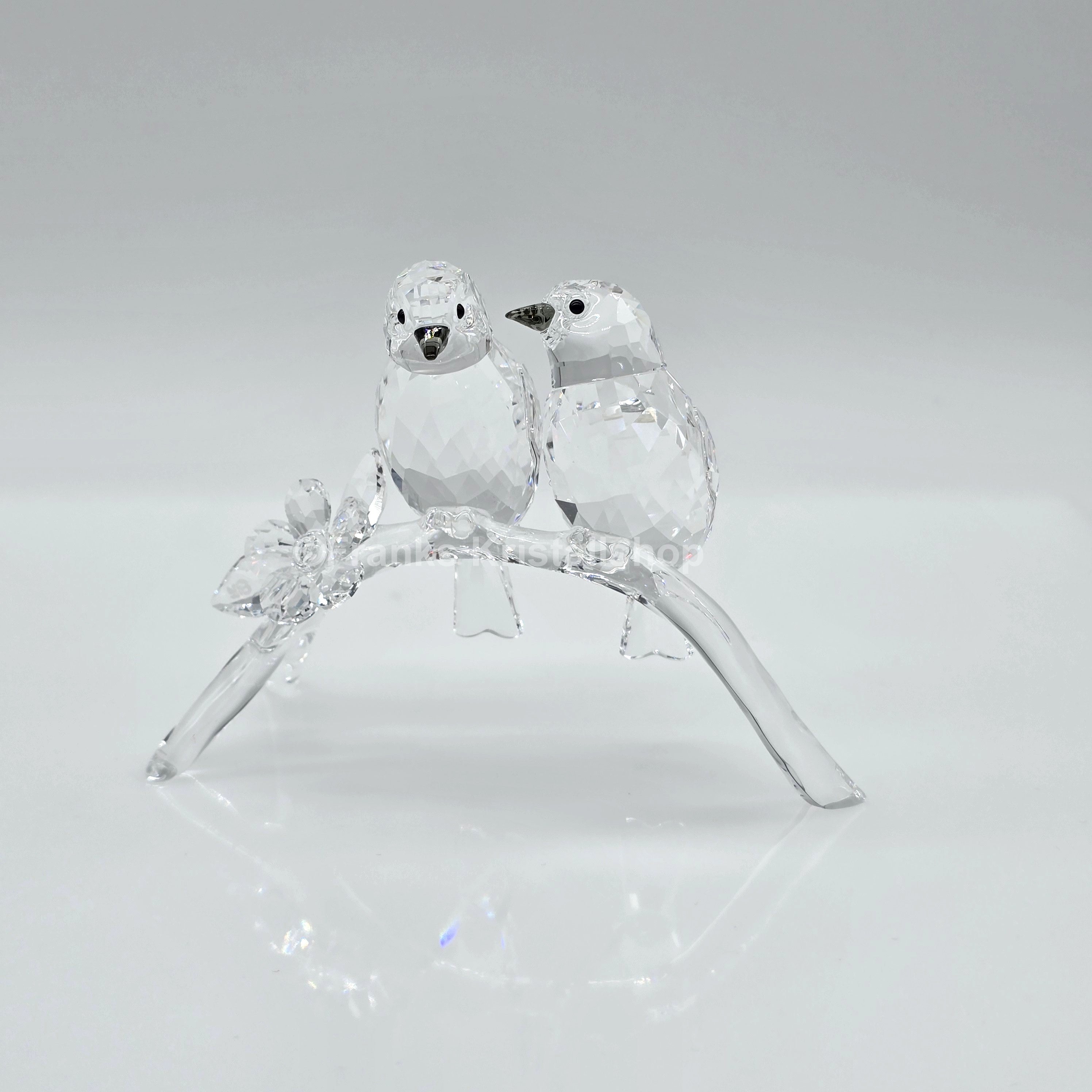 SWAROVSKI Brillenvögel 5249843 oU