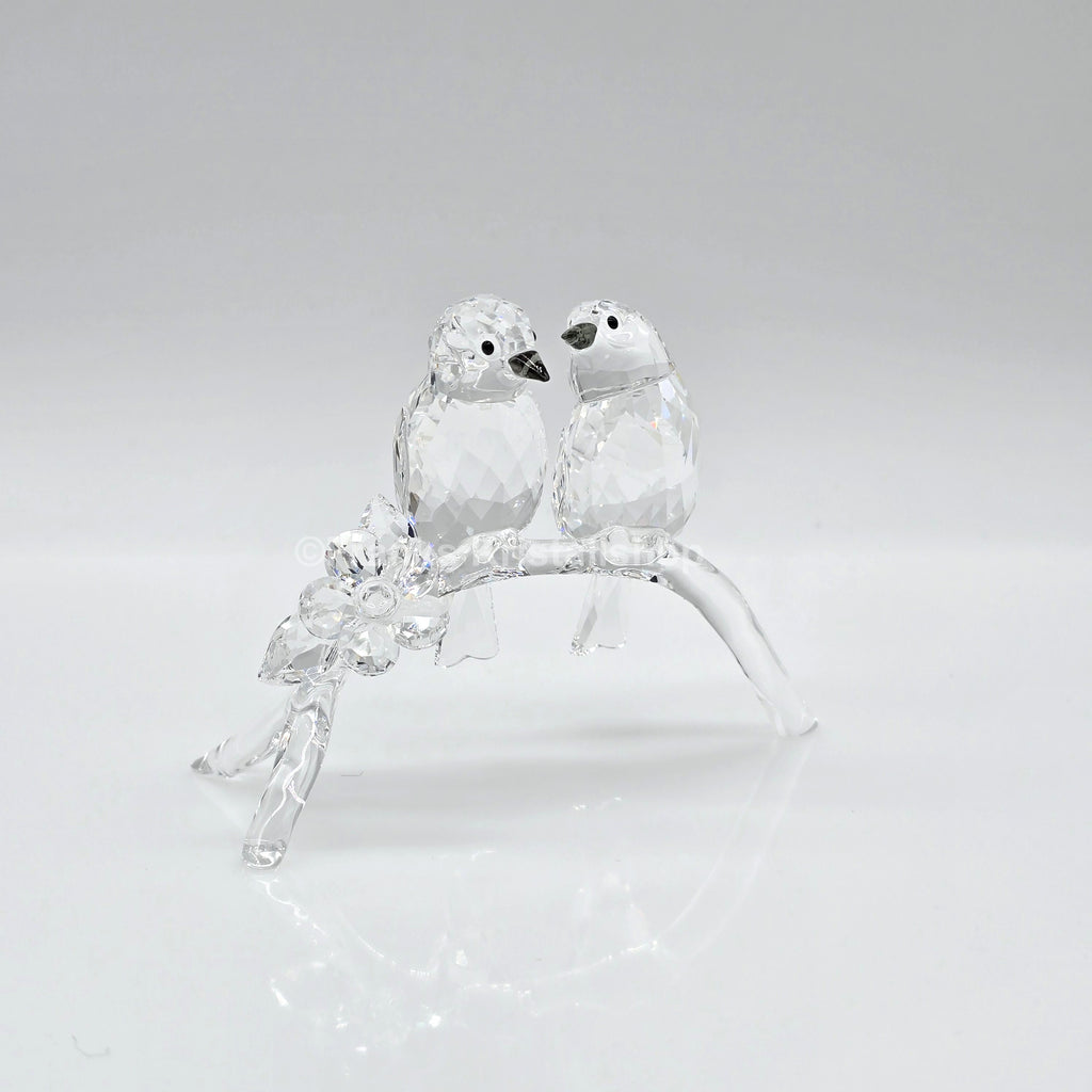 SWAROVSKI Brillenvögel 5249843 oU