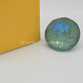 SWAROVSKI Schwan Chaton Exclusive Silky Sage Grün 5674575