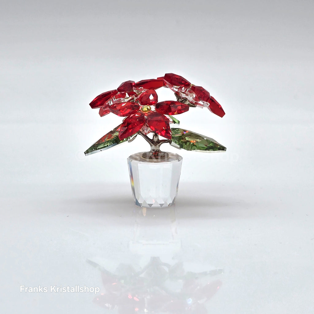SWAROVSKI Christmas Star Version 1 Poinsettia 905209