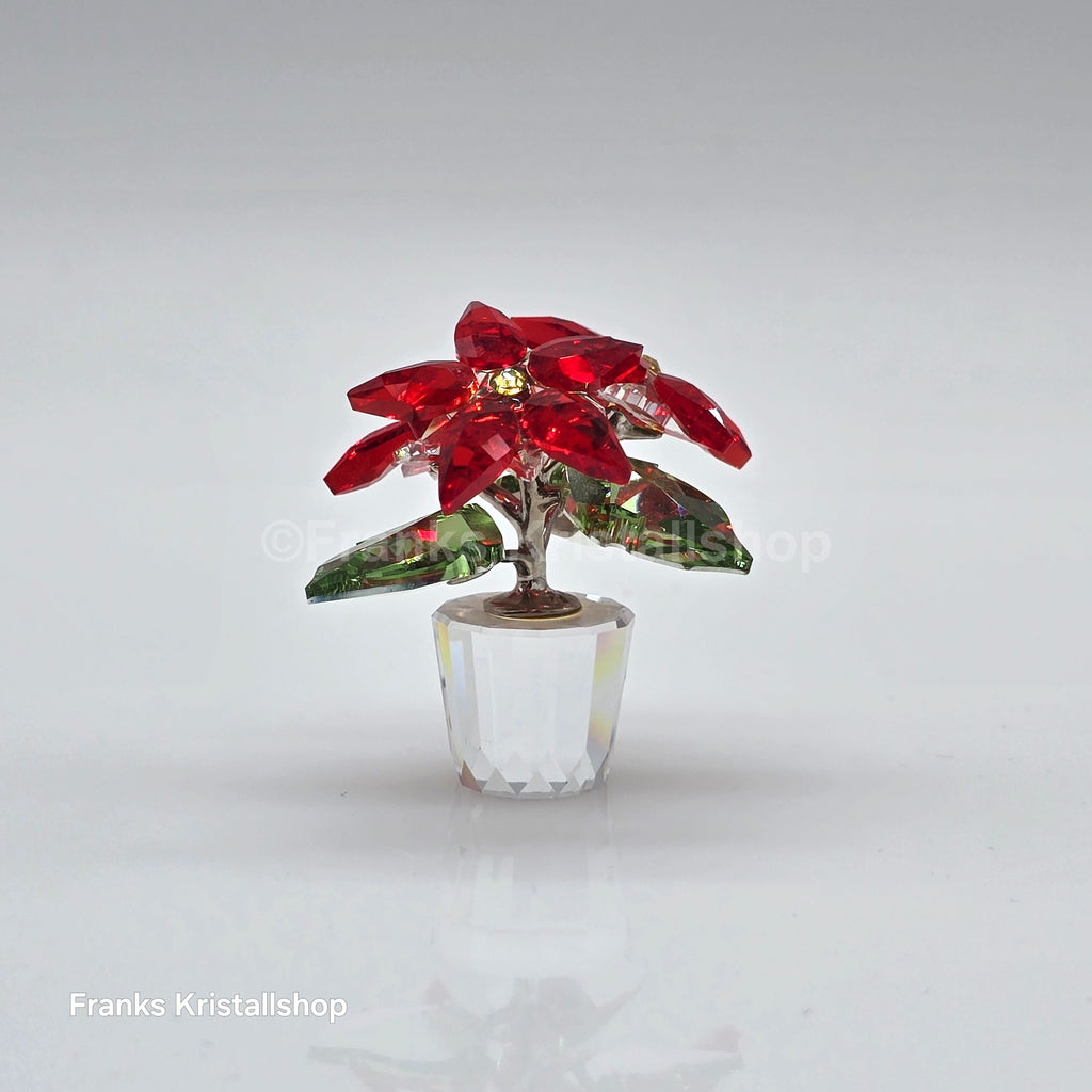 SWAROVSKI Christmas Star Version 1 Poinsettia 905209