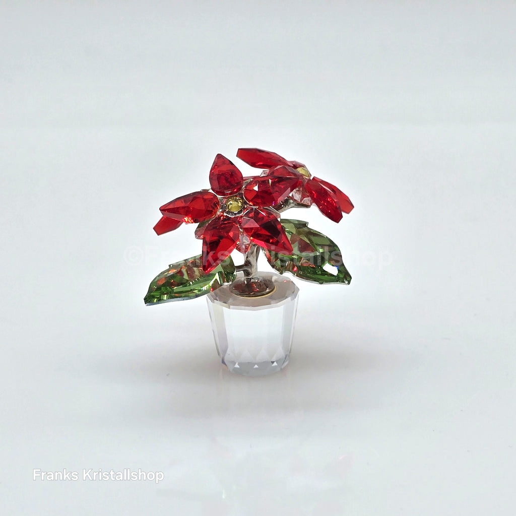SWAROVSKI Christmas Star Version 1 Poinsettia 905209