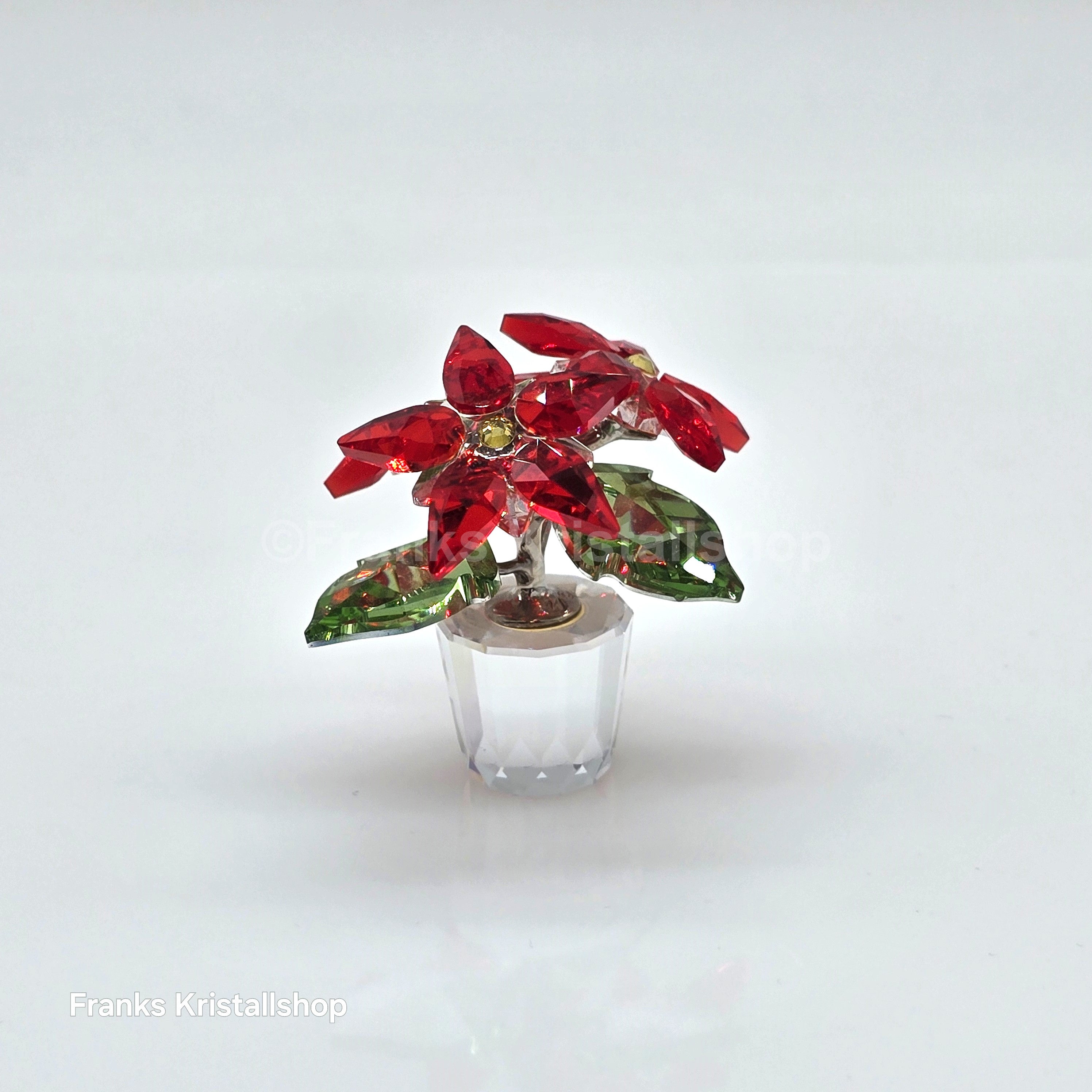 SWAROVSKI Christmas Star Version 1 Poinsettia 905209