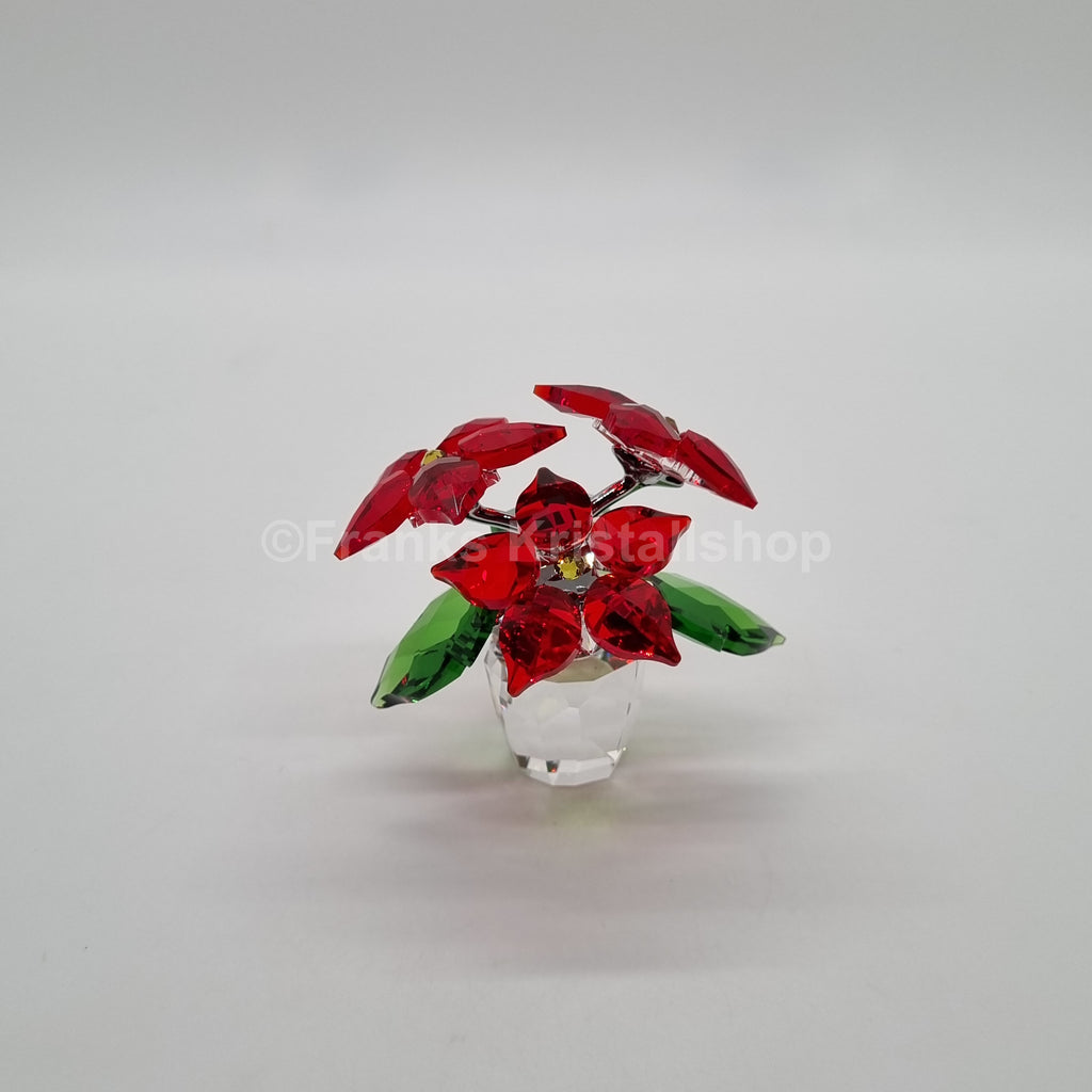 SWAROVSKI Weihnachtsstern Version 1 Christstern Poinsettia 905209