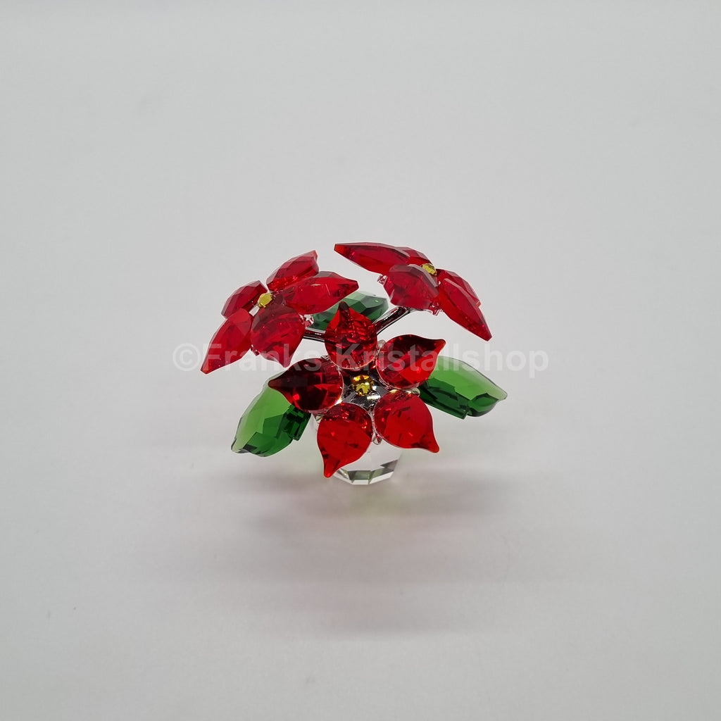 SWAROVSKI Weihnachtsstern Version 1 Christstern Poinsettia 905209