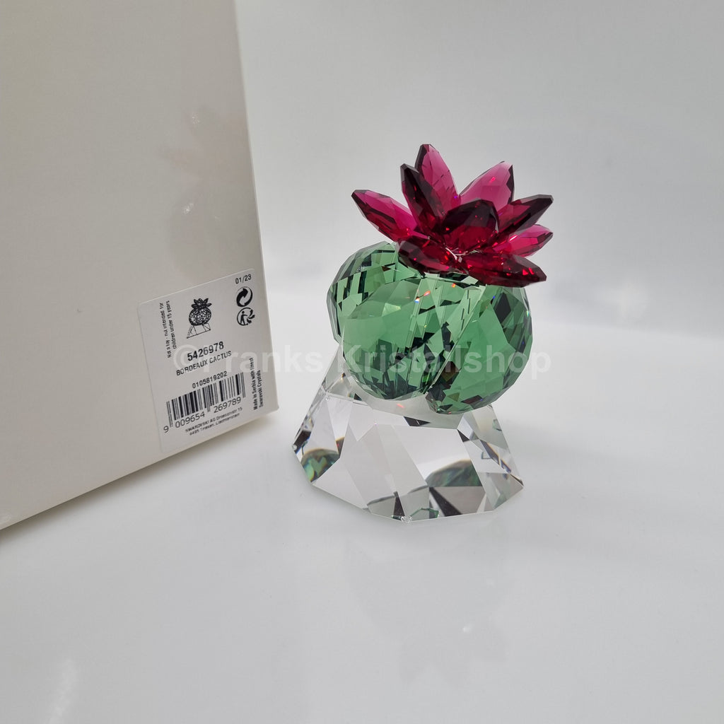 SWAROVSKI Crystal Flowers Bordeaux Kaktus 5426978