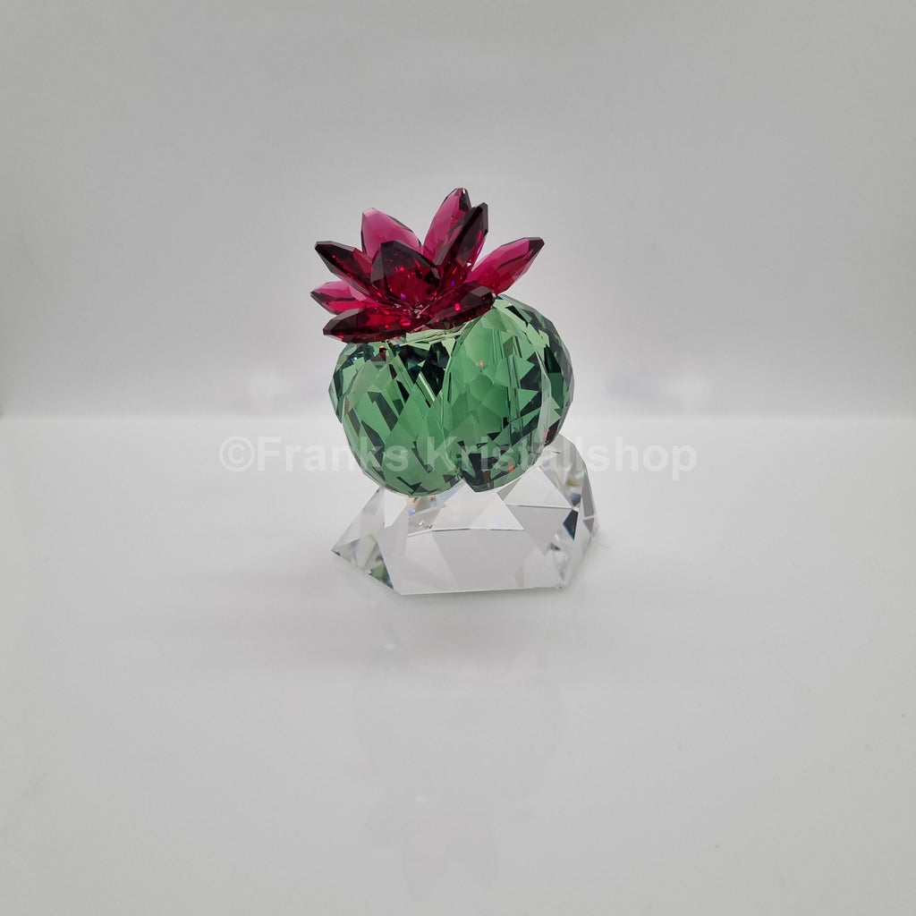 SWAROVSKI Crystal Flowers Bordeaux Kaktus 5426978