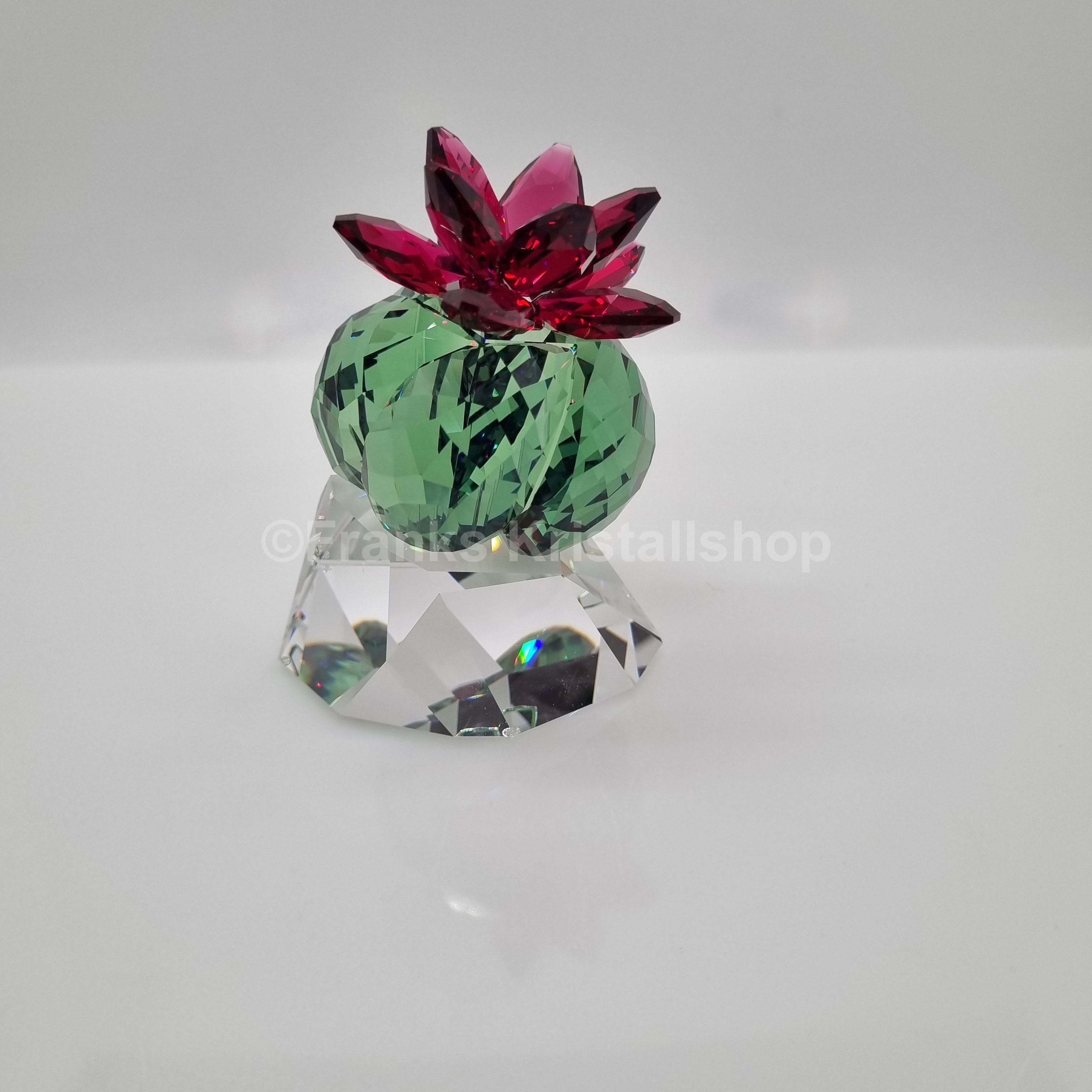 SWAROVSKI Crystal Flowers Bordeaux Kaktus 5426978