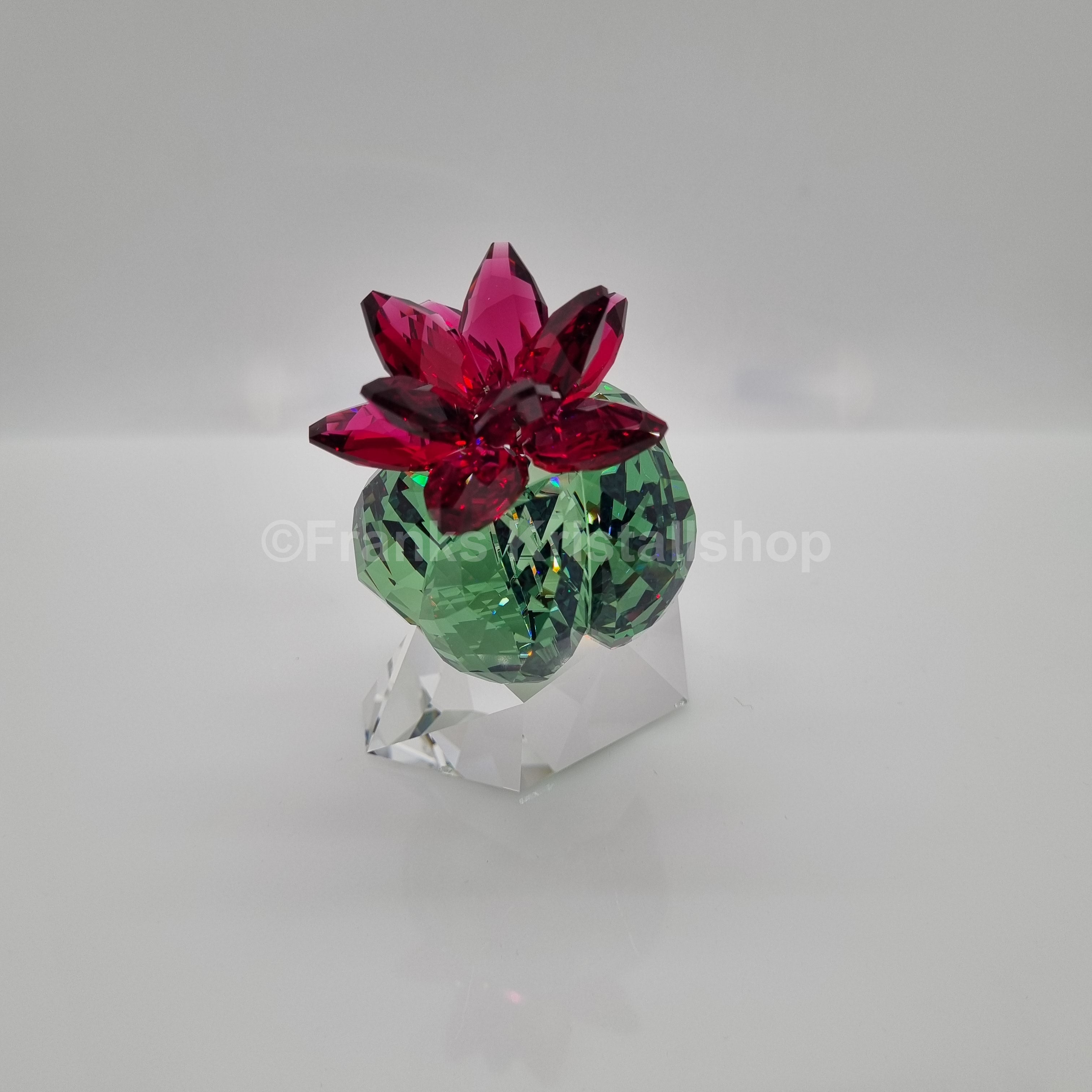 SWAROVSKI Crystal Flowers Bordeaux Kaktus 5426978