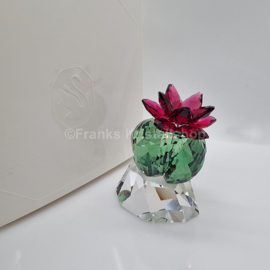 SWAROVSKI Crystal Flowers Bordeaux Kaktus 5426978