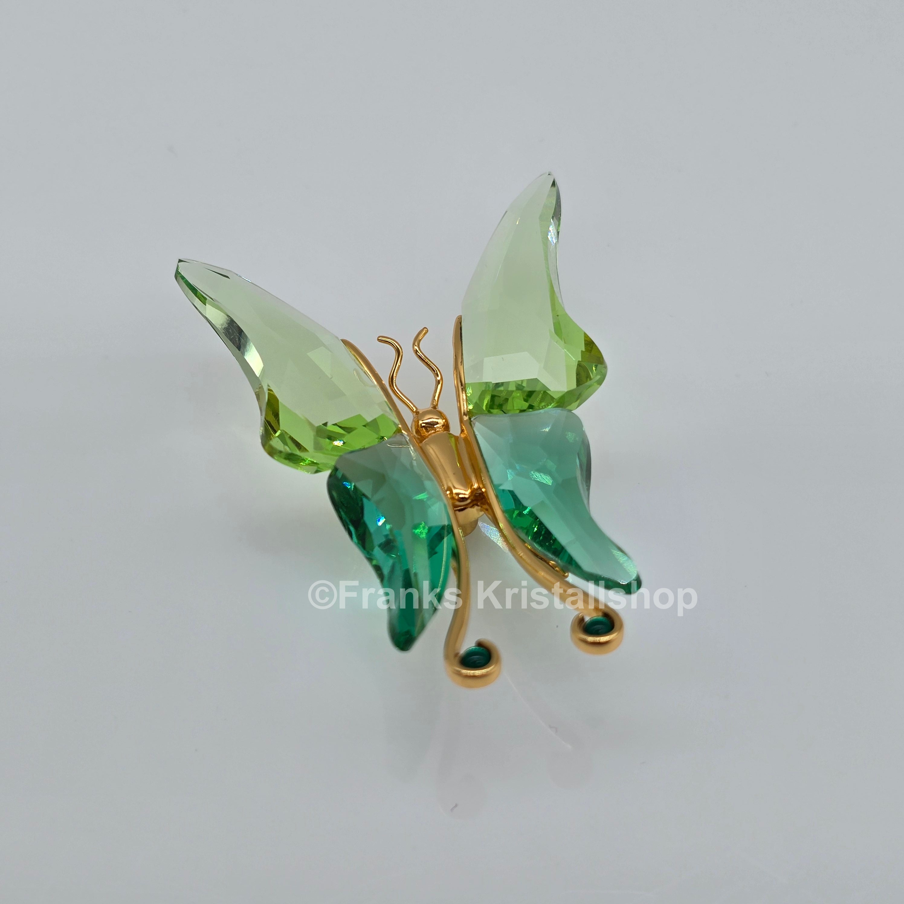 SWAROVSKI Crystal Paradise Objekt Schmetterling Astara Medium + Display 243236