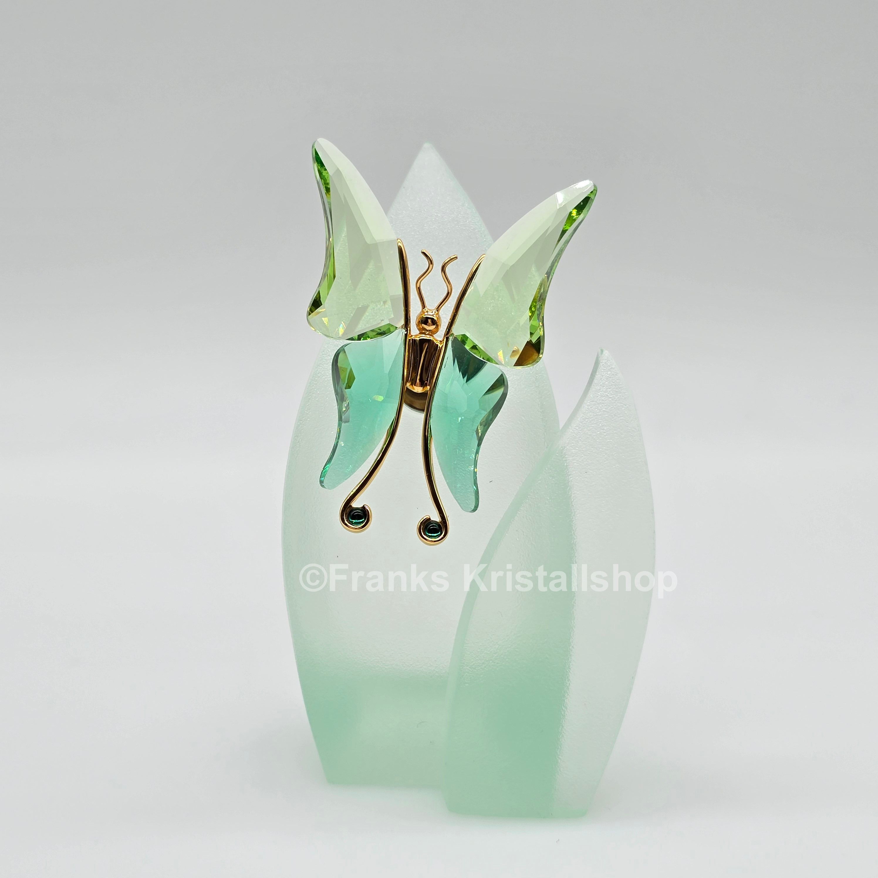 SWAROVSKI Crystal Paradise Objekt Schmetterling Astara Medium + Display 243236