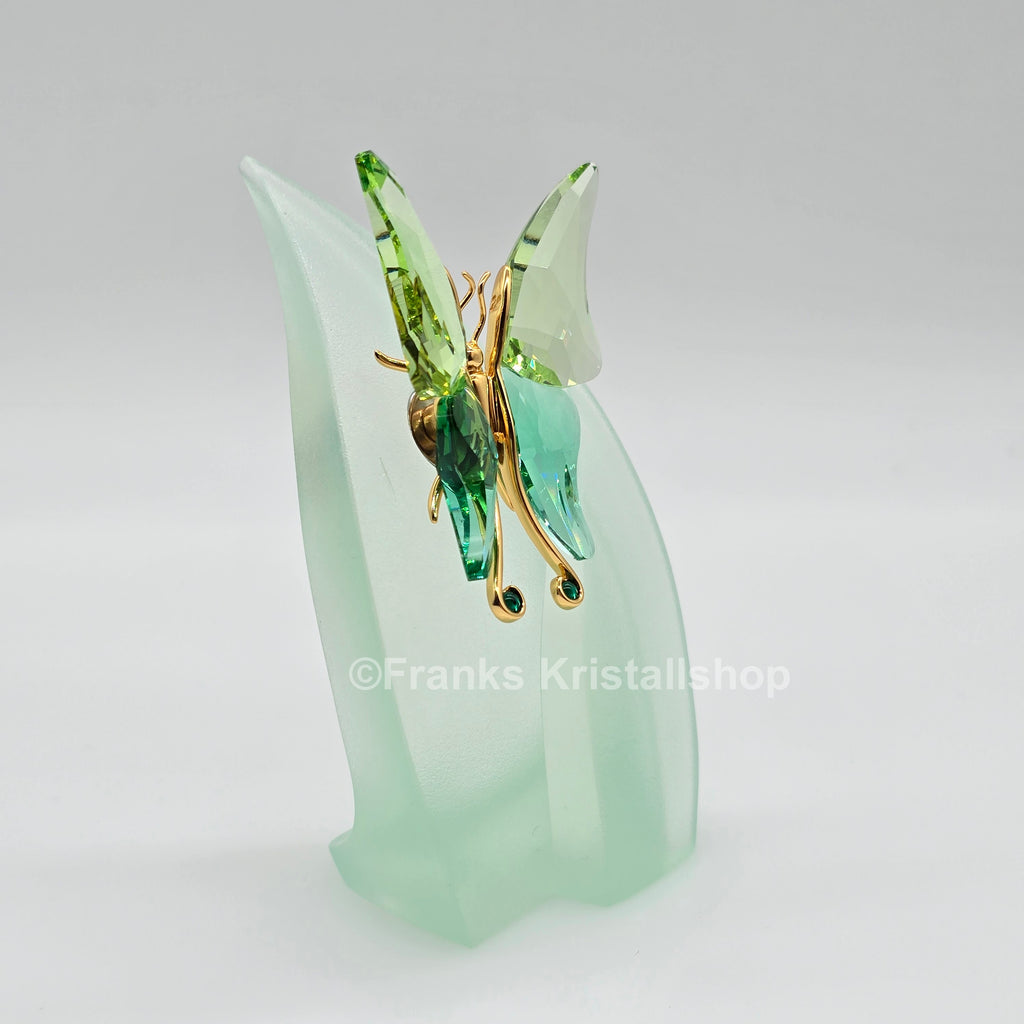 SWAROVSKI Crystal Paradise Objekt Schmetterling Astara Medium + Display 243236