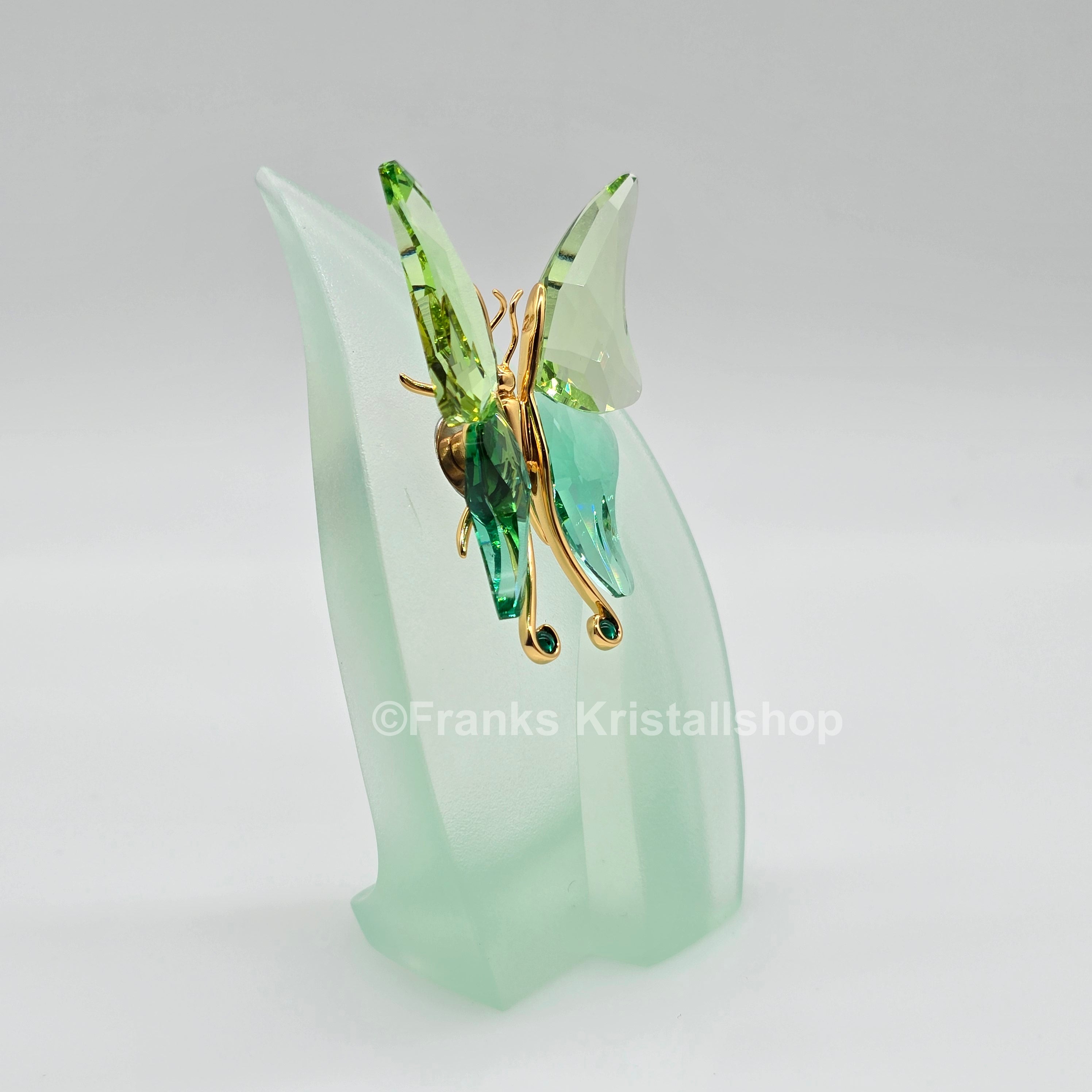 SWAROVSKI Crystal Paradise Objekt Schmetterling Astara Medium + Display 243236