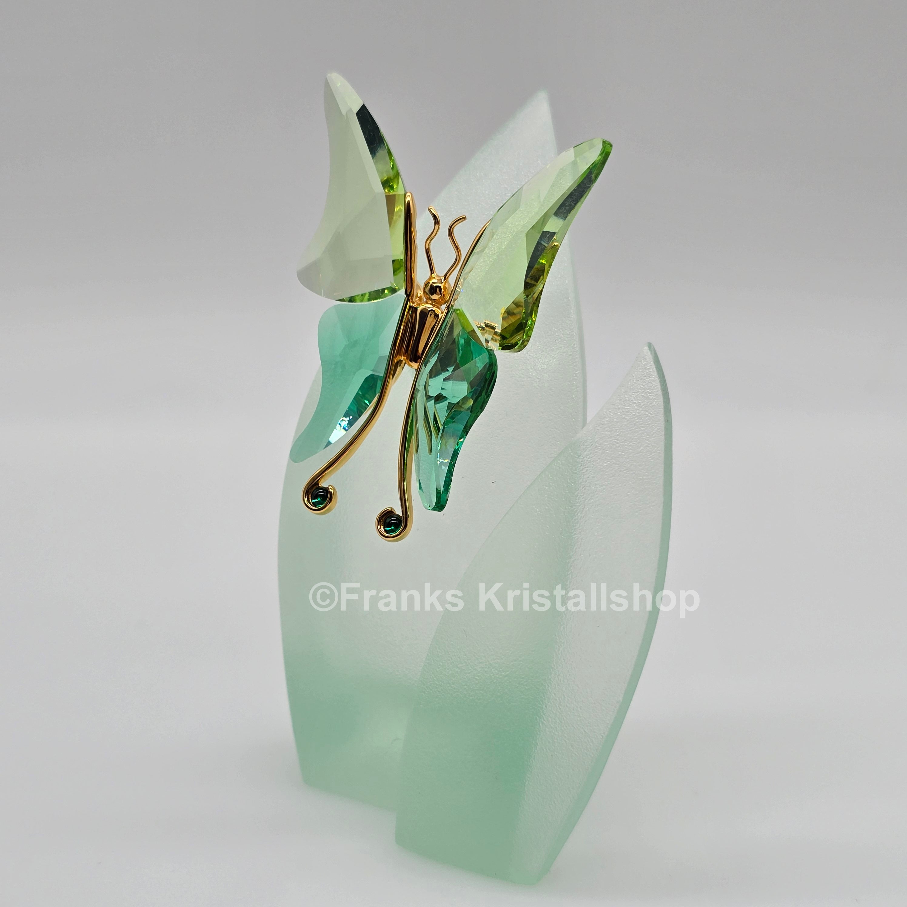 SWAROVSKI Crystal Paradise Objekt Schmetterling Astara Medium + Display 243236
