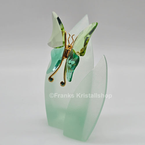 SWAROVSKI Crystal Paradise Objekt Schmetterling Astara Medium + Display 243236
