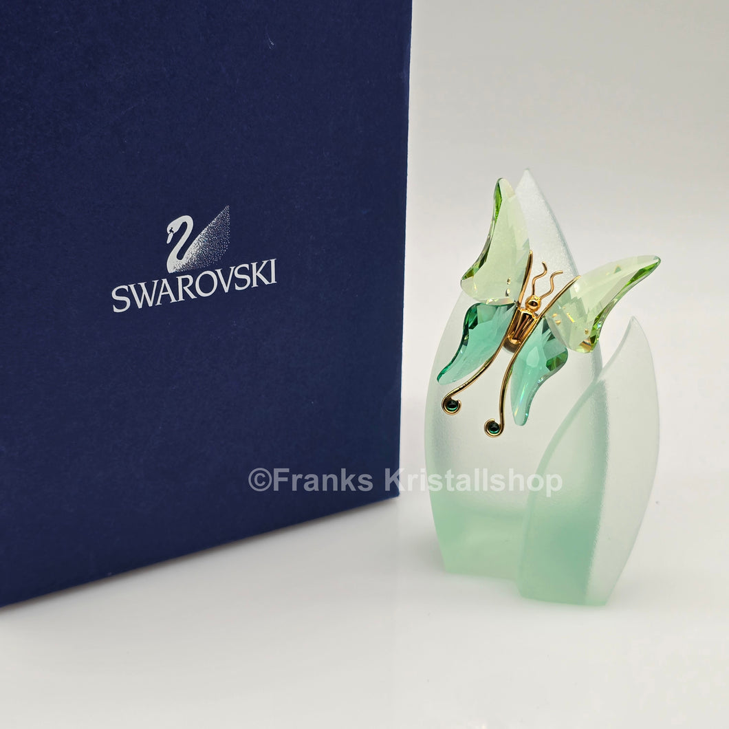 SWAROVSKI Crystal Paradise Objekt Schmetterling Astara Medium + Display 243236