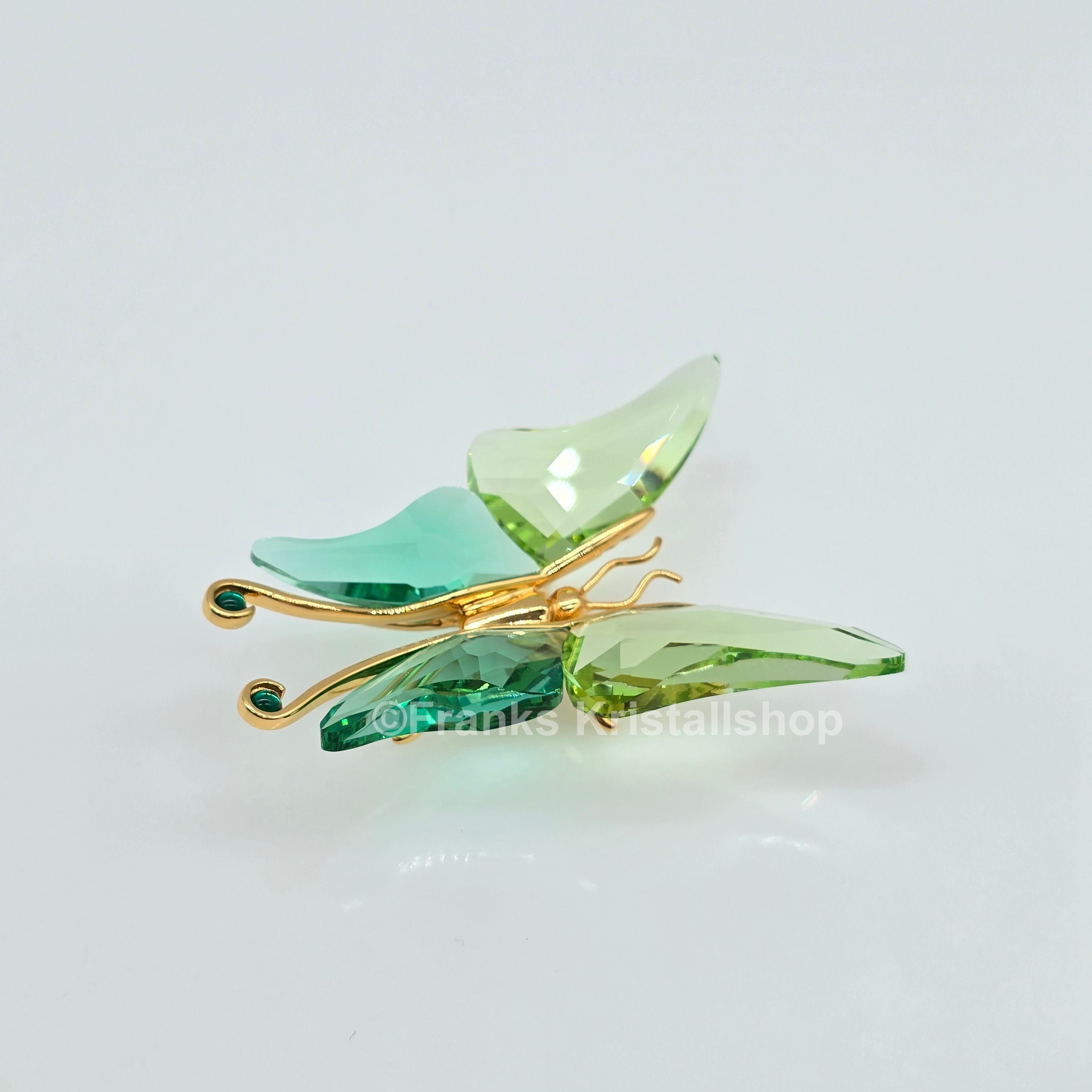 SWAROVSKI Crystal Paradise Objekt Schmetterling Astara Medium + Display 243236