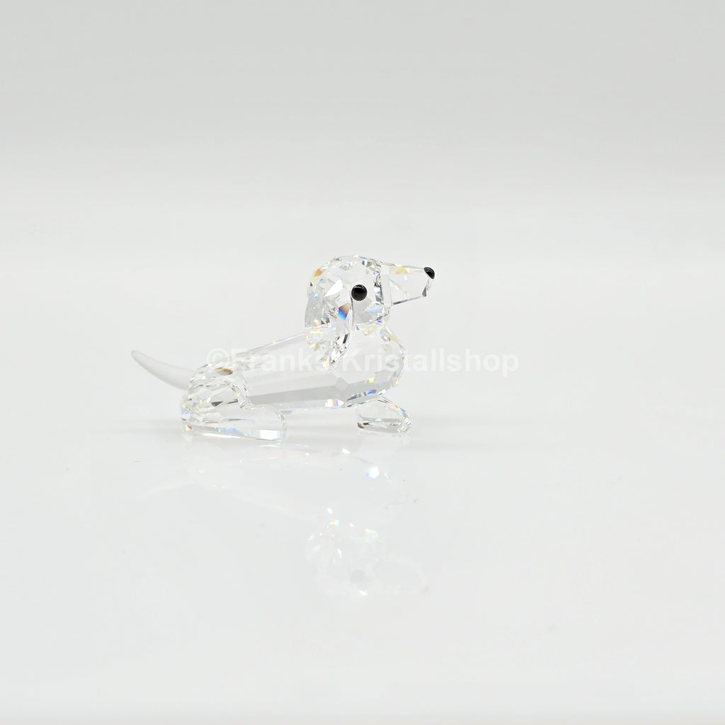 SWAROVSKI Dackel Mini 014388 Var. 2 (gefrosteter Schwanz)