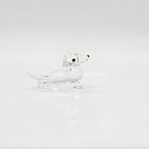 SWAROVSKI Dackel Mini 014388 Var. 2 (gefrosteter Schwanz)