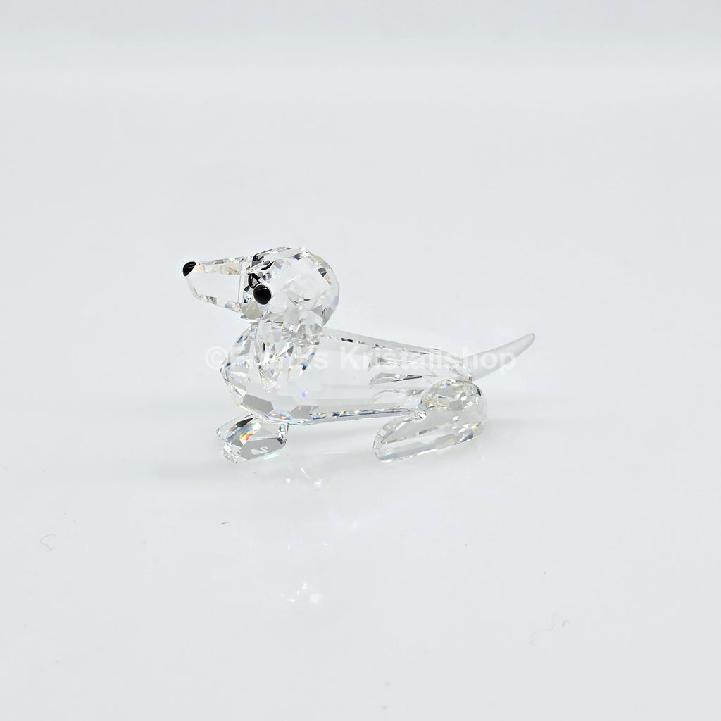 SWAROVSKI Dackel Mini 014388 Var. 2 (gefrosteter Schwanz)