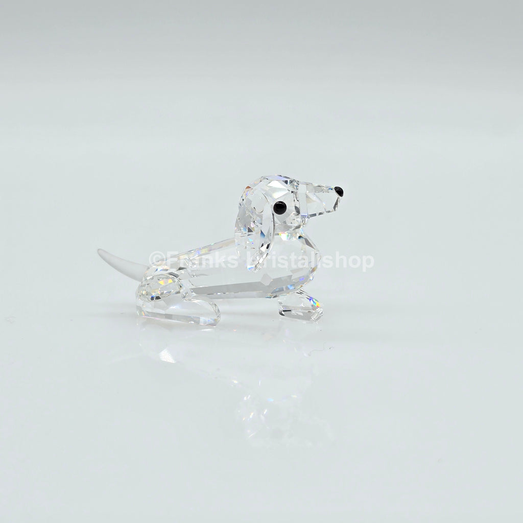 SWAROVSKI Dackel Mini 014388 Var. 2 (gefrosteter Schwanz)
