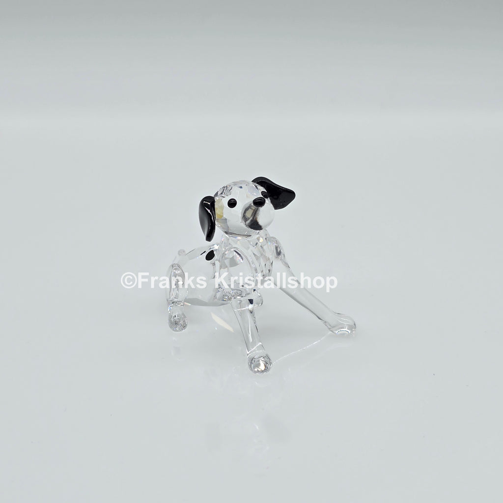 SWAROVSKI Dalmatiner Welpe sitzend 628909