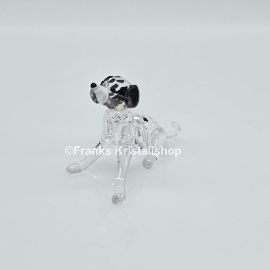 SWAROVSKI Dalmatiner Welpe sitzend 628909