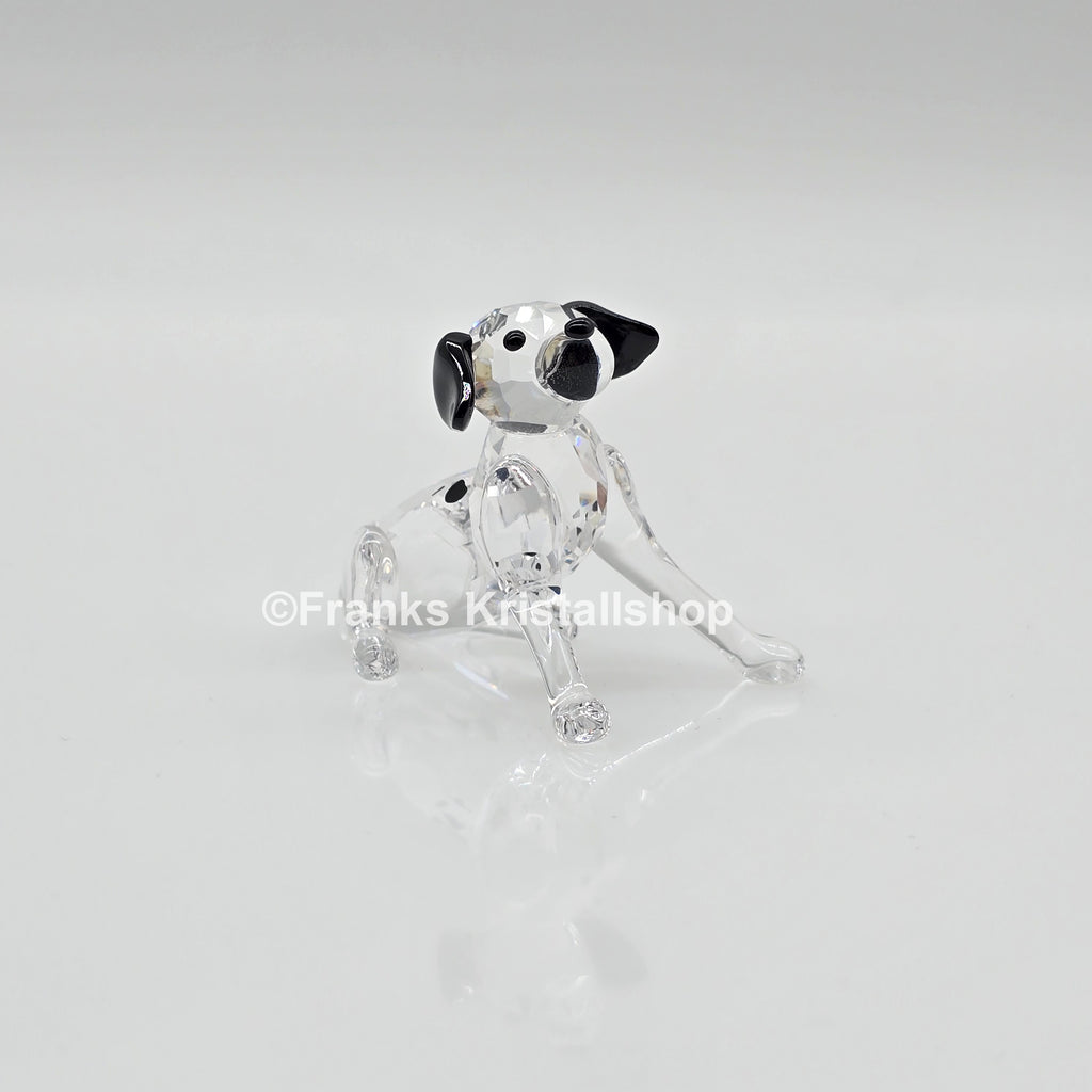 SWAROVSKI Dalmatiner Welpe sitzend 628909