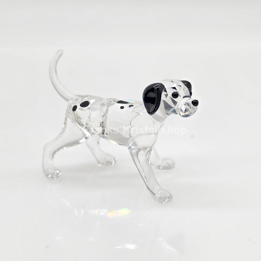 SWAROVSKI Dalmatiner Welpe stehend 628947