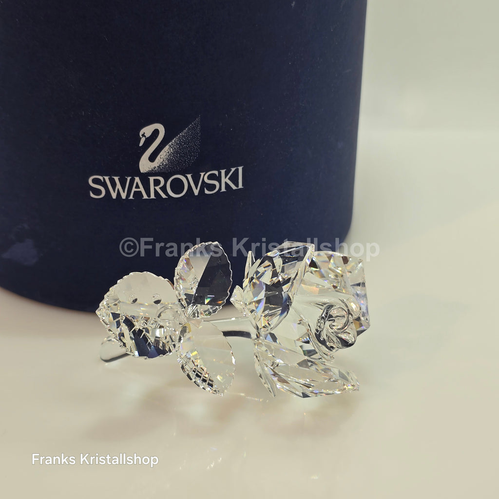 SWAROVSKI Die Rose 174956
