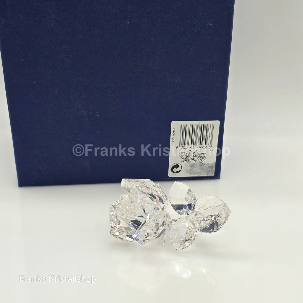 SWAROVSKI Die Rose 174956