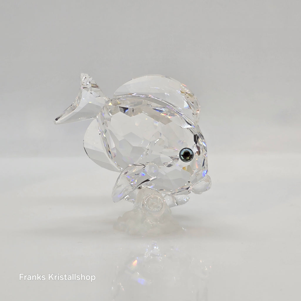 SWAROVSKI Doktorfisch 883822