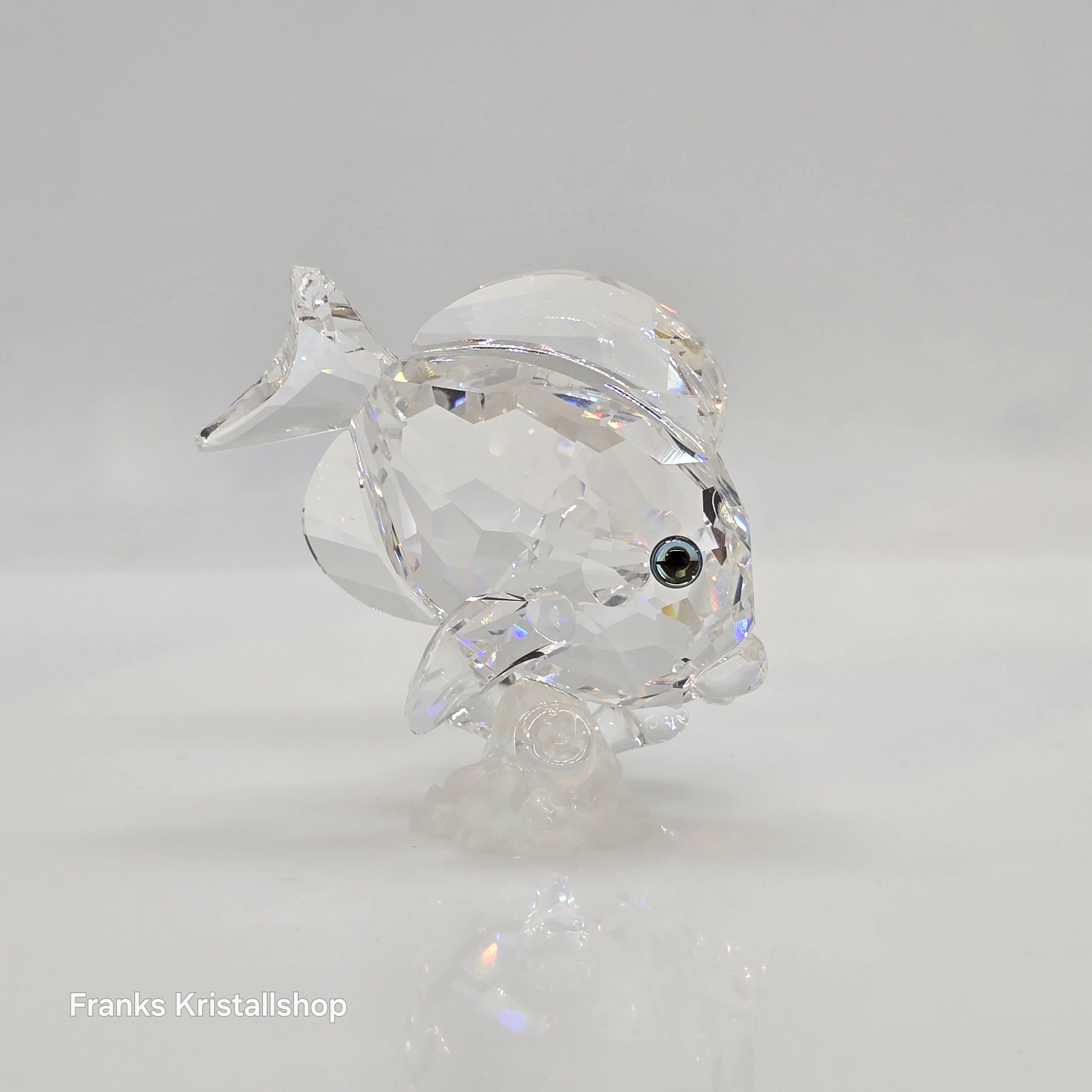 SWAROVSKI Doktorfisch 883822