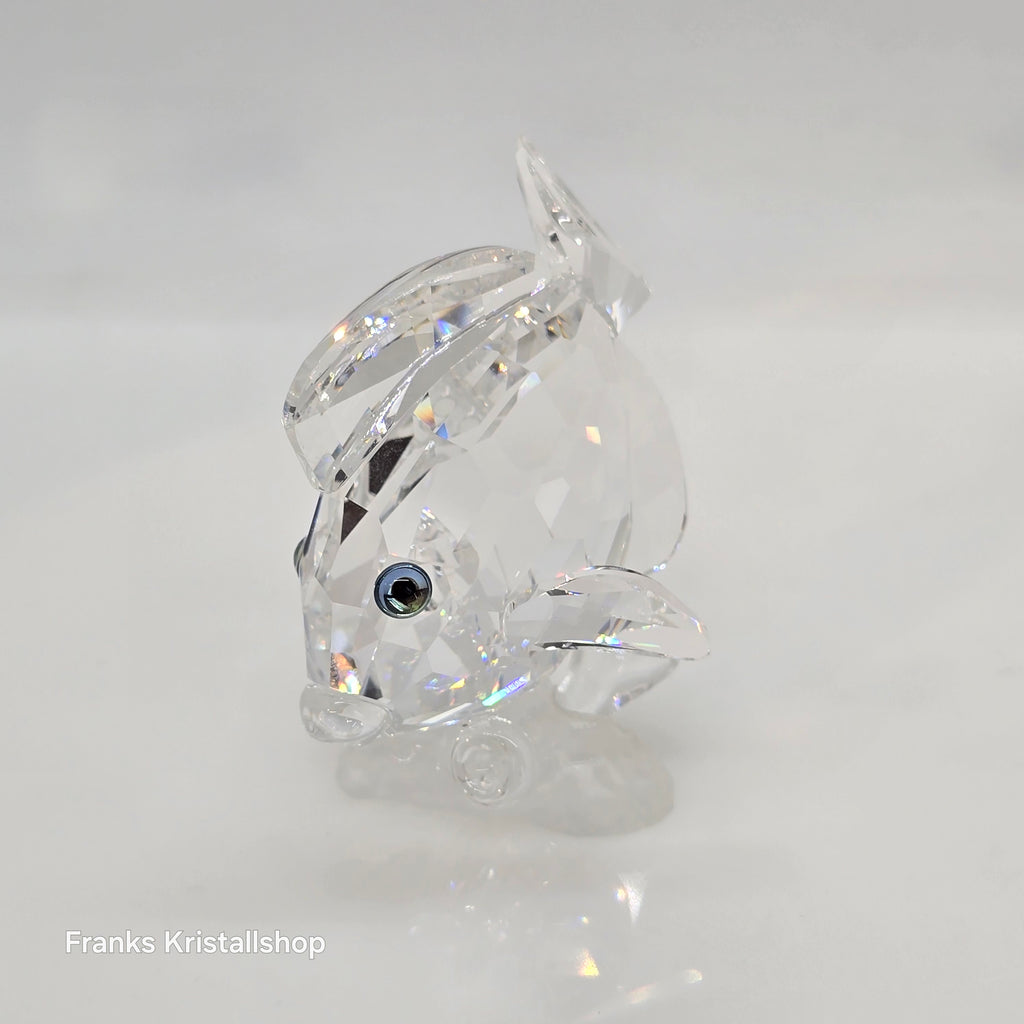 SWAROVSKI Doktorfisch 883822