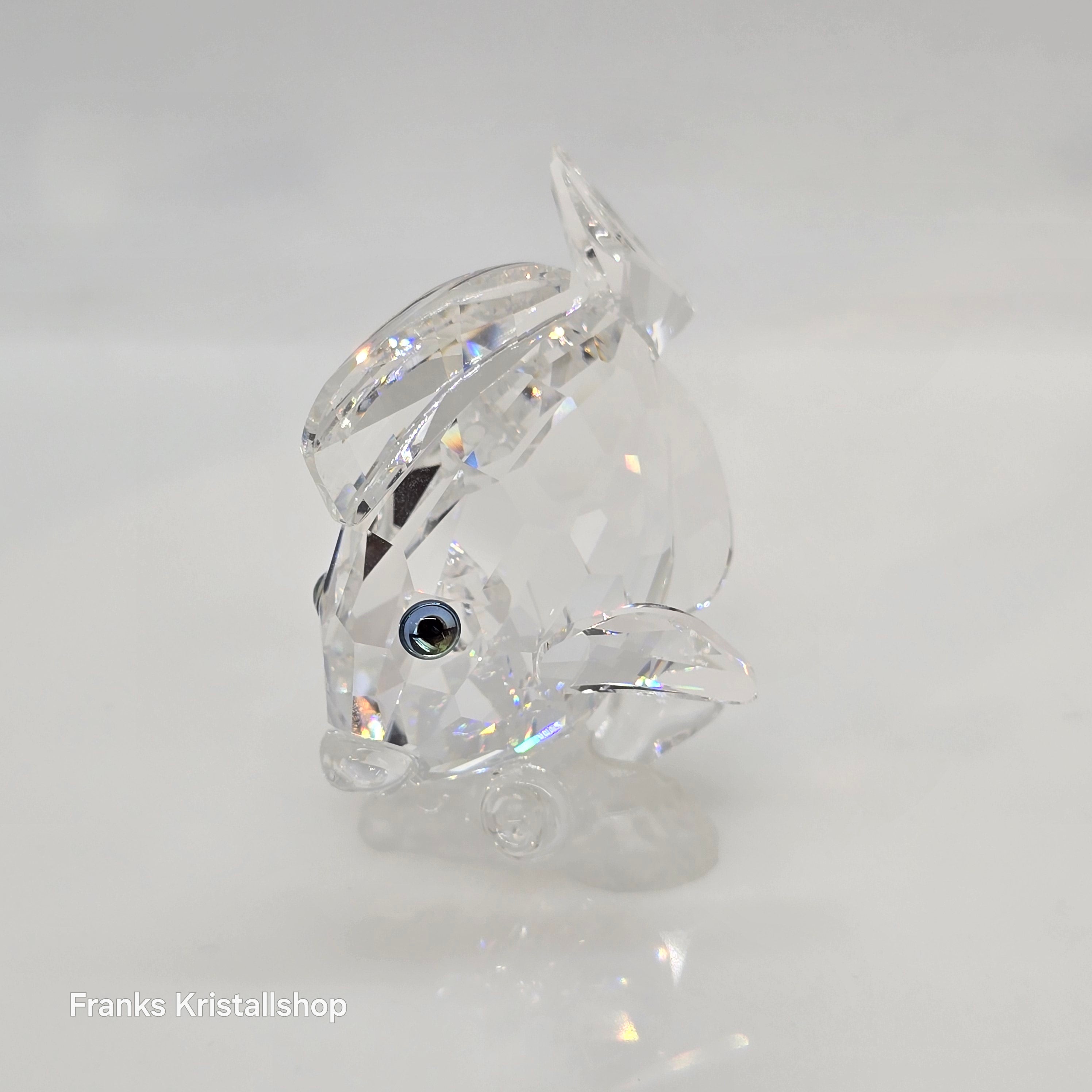 SWAROVSKI Doktorfisch 883822