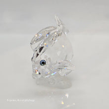 Lade das Bild in den Galerie-Viewer, SWAROVSKI Doktorfisch 883822
