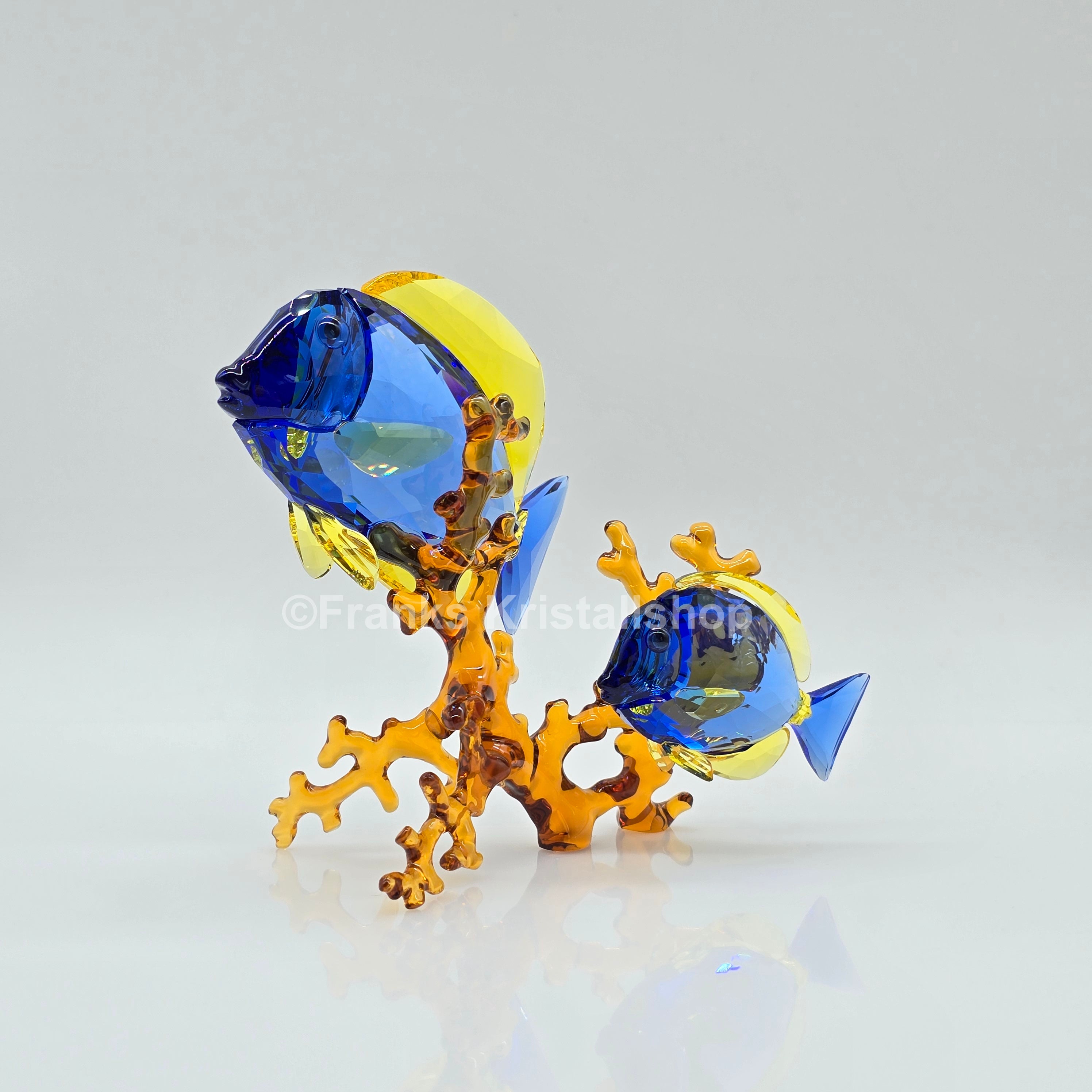 SWAROVSKI Doktorfische Color 5223194