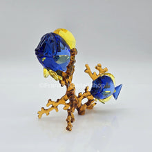 Lade das Bild in den Galerie-Viewer, SWAROVSKI Doktorfische Color 5223194
