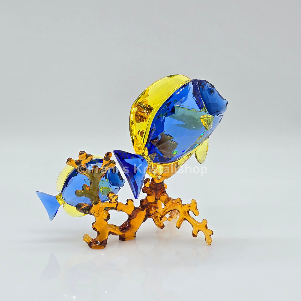 SWAROVSKI Doktorfische Color 5223194