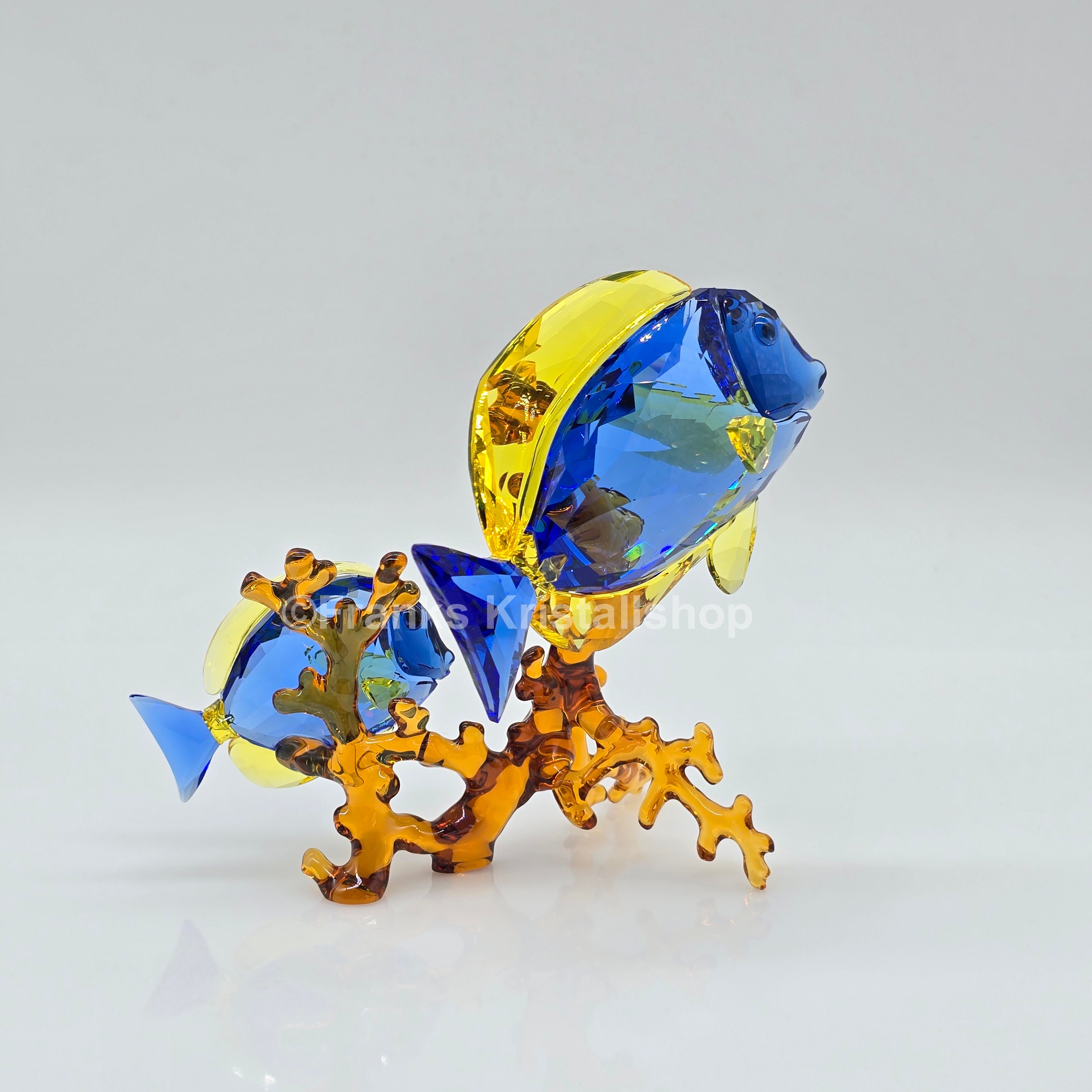 SWAROVSKI Doktorfische Color 5223194