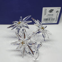 Lade das Bild in den Galerie-Viewer, SWAROVSKI SCS Jahresfigur 2021 Edelweiß Edelweiss 5493708
