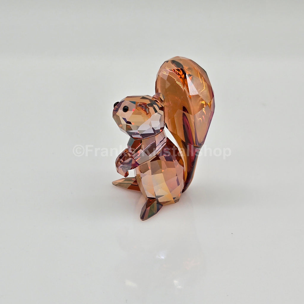 SWAROVSKI Eichhörnchen Kupfer 1142807
