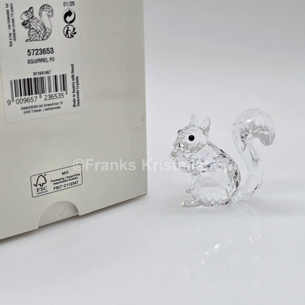 SWAROVSKI Eichhörnchen Klar 5723653 (5135941)
