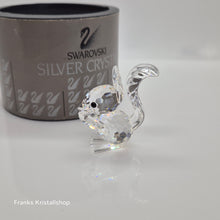 Lade das Bild in den Galerie-Viewer, SWAROVSKI Eichhörnchen 011871 oS
