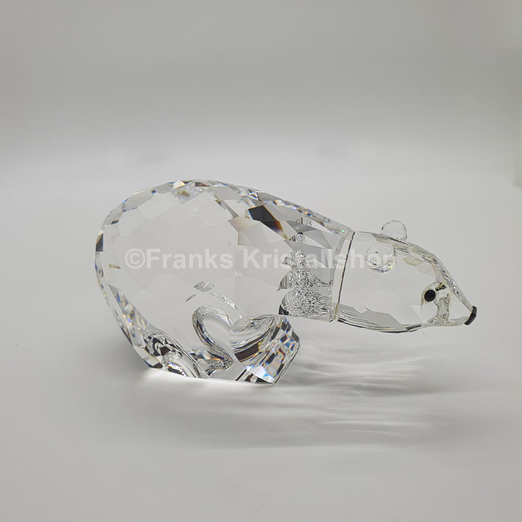 SWAROVSKI Polarbär Eisbär 013747