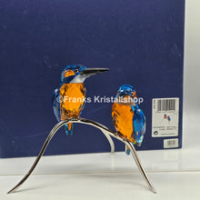 Lade das Bild in den Galerie-Viewer, SWAROVSKI Eisvögel 945090
