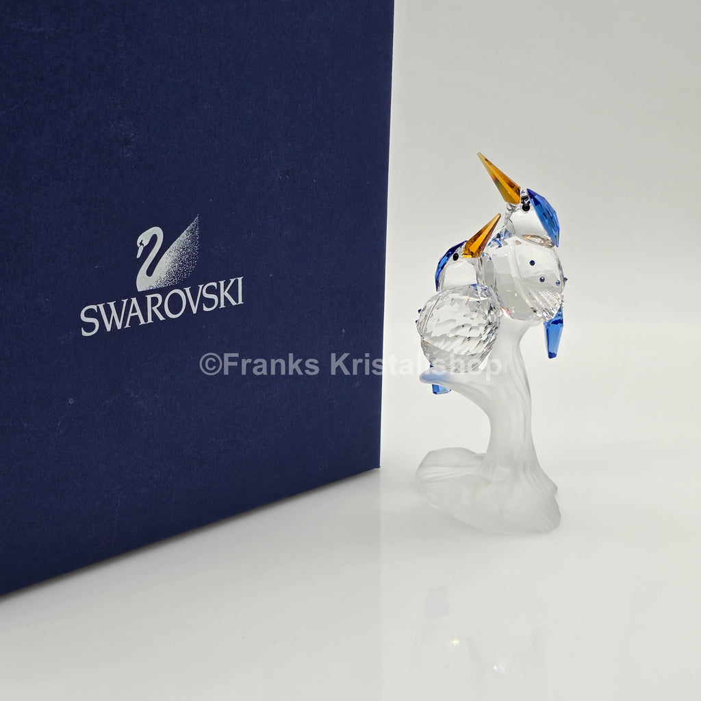 SWAROVSKI Eisvögel Zwerghaubenfischer 623323 oU