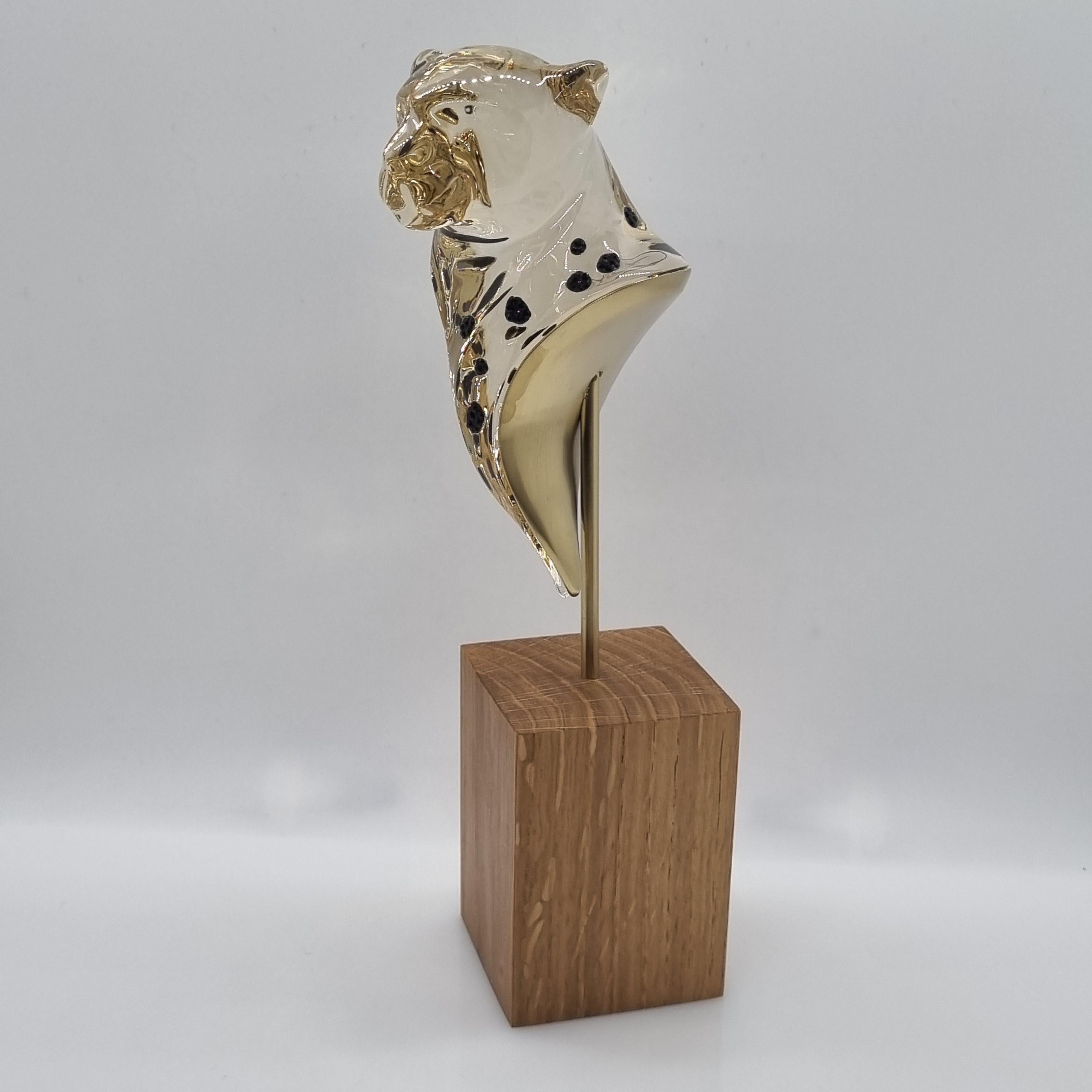 SWAROVSKI Elegance of Africa Gepardenkopf Cheetah 5638395